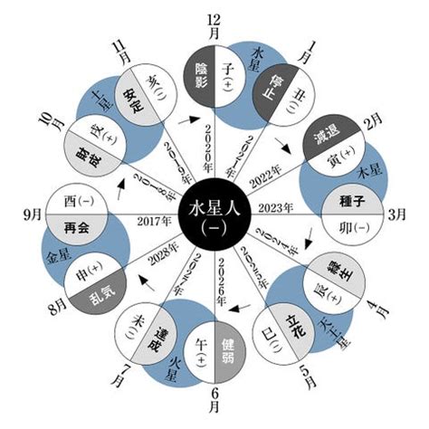 水性人|水星人の運気〈2024年12月〉